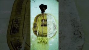 Unglaublicher Trick zum Teppichreinigen #kurzvideo