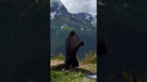 Unsere Teppiche vor dem Hintergrund des Kaukasus 😍 #Teppiche #Innendesign #Interieur #Trends #Möbel #Wohnkultur