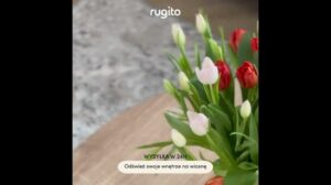 VINTAGE-TEPPICH FÜR DAS WOHNZIMMER | DYWANY RUGITO 🧡