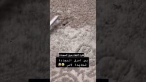 Wie man Brandflecken von einem Teppich versteckt