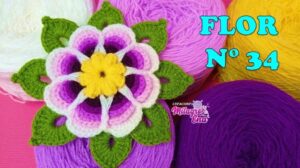 Wie man die Blume Nr. 34 häkelt, um sie auf Teppichen, Tischmitteln und Quilt-Quadraten anzuwenden