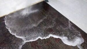Wie man einen Perserteppich reinigt - Alfombras Rahmati 32