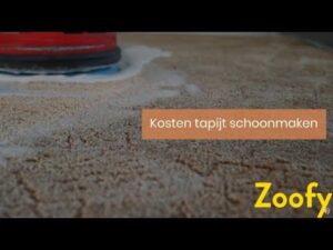 Zoofys Preisinformationen - Kosten für Teppichreinigungen - #Preisinformation