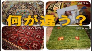 Zunächst, welche Arten von Teppichen und Teppichboden gibt es und was unterscheidet sie? (Perserteppich, Kilim, Tribal-Teppich, Gabbeh)
