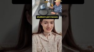 „Amazon-Funde: BISSELL Little Green Mini Tragbarer Teppichreiniger“