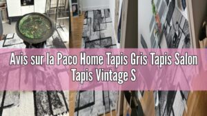 „Bewertung des Paco Home Teppichs Grau Teppich Wohnzimmer Vintage Teppich Wohnzimmer Kurzflor Geometrisches Muster Abstrakt“