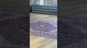„Bidjar-Teppich 25631“
