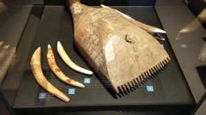 „Das größte Teppichmuseum der Welt (Teil 1)“
