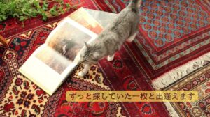„Die rabattiertesten Import-Teppiche! Persian Rug Bazaar – Wir veranstalten einen Verkauf von handgewebten persischen Teppichen in historischen Häusern, renovierten Lagerräumen und Café-Galerien in ganz Japan.“