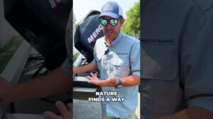 „Hat Ihr Pontonboot noch Teppich?: Bridge Marina Bootwartungstipp #shorts“