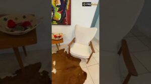 „Premium-Qualität Tierhaut-Teppiche in Dubai | #teppiche #kurzvideo“