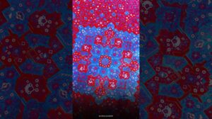 „⁨⁨ Harris-Design, lackrotes und blaues… eine alte Geschichte auf neuer Webart ❤️💙✨⁩... @sophiacarpet⁩“