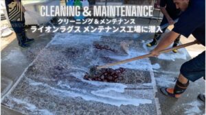 【Reinigung & Wartung】Wir zeigen Ihnen die Reinigung und Wartung von persischen Teppichen von Lion Rugs!!