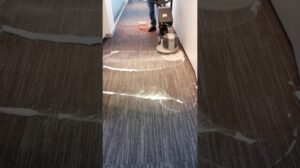 02163463010 Büro-Teppichreinigung, Trocken-Schaum-Teppichreinigung, Teppichbodenreinigung, Teppichreinigung vor Ort