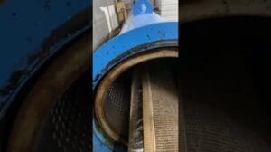 Professionelle Teppichreinigung