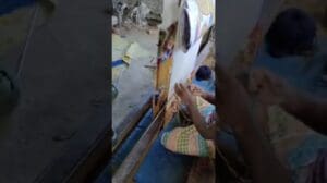 2'x6' handgewebter tibetischer Drachenteppichläufer - Perfekt für Schlafzimmer- oder Sofadeko #shorts #teppiche #teppich