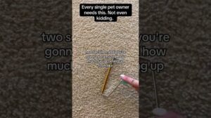 50% Rabatt Angebote: Befreien Sie Ihre Teppiche von Tierhaaren, Perfekt für