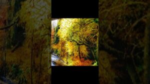 $890 Persischer Tabriz-Teppich, Herbstwald