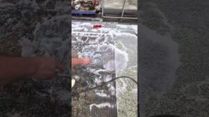 ✨ ASMR trifft Teppichreinigung! ✨ #asmr #reinigung #teppich #teppichreinigung #teppich