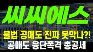 [Aktien] CCS - Können wir illegale Leerverkäufe wirklich nicht stoppen?! Leerverkaufs-Bombardement Gesamtangriff