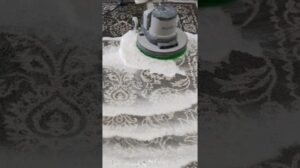 💩 Auf dem Teppich! Sieh, wie wir es gereinigt haben ✨