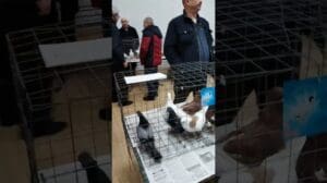 Ausstellung in Kowel, 04.02.23