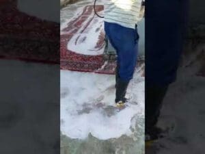 Biologische Teppichreinigung