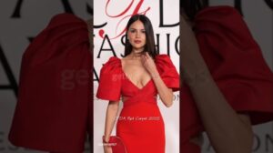 CFDA Fashion Awards Roter Teppich 2025