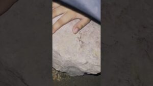 Das Wunder von Blut und Düften: BB Shahbano, Um Sajad, Prinzessin Ashura, Königin Dunya, Prinzessin Persien, Königin der Frauen – Jeden Tag Blut und Düfte