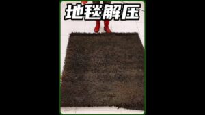 Das ist kein Wischlappen, sondern ein 200.000 Euro teurer Wollteppich!