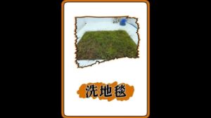 Das ist nicht die Hulunbuir-Graslandschaft, sondern das Reinigen eines Teppichs #Teppichreinigung #Entspannungsvideo #äußerstkomfortabel #Inhaltinspirationssuche