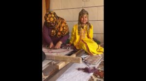 Die Kunst des Turkmenischen Teppichs