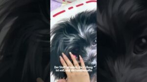 Exklusive Anpassung, Haustiere in Kissen und Teppiche verwandeln, perfekte Kameradschaft♥️🔗