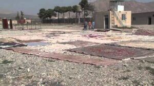 Gabbeh und Teppichhaus 15