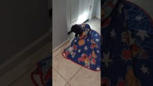 Haben Sie mich auf dem roten Teppich der Met Gala gesehen? 📸