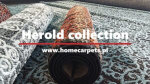 Herold - moderne zweischichtige Teppiche