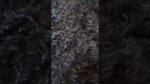 Ich habe einen Teppich auf Shopee gekauft #shorts #einfacheHaus #Einkäufe #Käufe #Shopee #OnlineEinkäufe