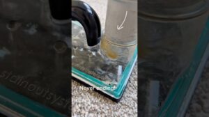 Katzurin Teppichreinigung