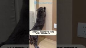 Kratzt auf für Katzen | Kleberteppich | Kostenloser Versand