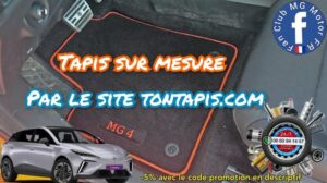 Maßgeschneiderte Teppiche für Fahrzeuge aller Epochen auf der Webseite www.tontapis.com