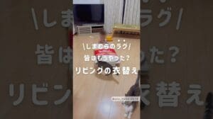 Mit dem Shimamura-Teppich den Wohnbereich umgestalten