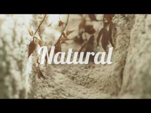 NATURAL ist der Badeteppich aus 100% biologischer Baumwolle
