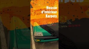 ⭐ Premium maßgeschneiderte Innenraumdecke Karpets