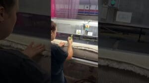 Professionelle Teppichreinigung - Vorbereitung zur Übergabe