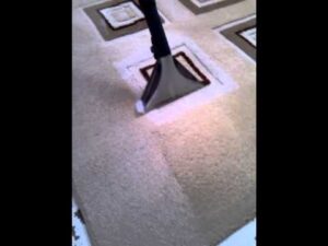 Prozess Teppichreinigungsservice Belgrad Panović.mp4