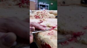 Renoviere deinen Teppich mit dem @atendimentorugcare von by Kamy! #teppich #reinigung #restaurierung #wartung