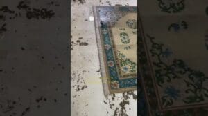 Restaurierung eines über 40 Jahre alten chinesischen Teppichs