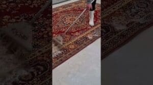 Schrubben @, Automatische Teppichwäsche CLEANLUBLIN #shorts