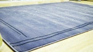 Teppich Cosmo Synthesisch Modern 021 Hellblau