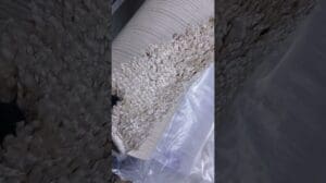 Teppich, Shaggy Beige Teppich für Zuhause und Büro, Gewerbliche Bodenbeläge, Bewertungen, Einzel- und Großhandel, TeppichA.ru